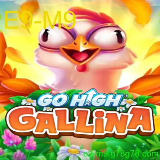 GoHighGallina